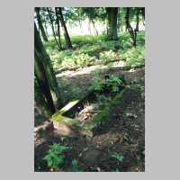 111-1325 Ein Ort der Stille. Natur pur..jpg